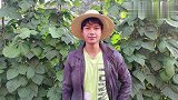 简单忙碌农村小伙与家人厨房品尝美味的芒果，笑笑一天疲劳消除了