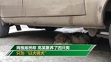 残忍！男子“以犬诱犬” 只为捕捉后剥皮取肉