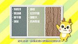 墙面装饰选择乳胶漆壁纸还是硅藻泥？