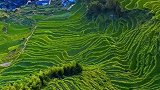 梯田你知道几个