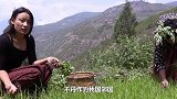 为何中丹边境通婚很普遍？看到不丹姑娘的生活，难怪想来中国！