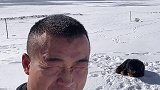 海拔米！昨晚下大雪！外面狗一直叫！狗熊来了