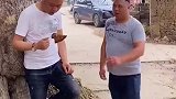 这哥们咋还给螃蟹喂奶了