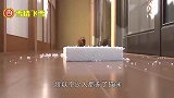 主人扮演大猫吓唬猫咪，猫咪直接炸毛了，镜头拍下全过程