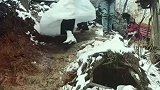 见证山里人最淳朴淳真的爰，最接地气的婚礼