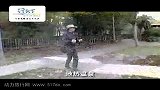 新西兰罗图鲁阿地热公园