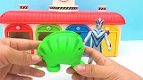 奥特曼桶变超人和远古动物变形蛋玩具大合集