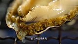 老广的味道！炭烤鲍鱼外焦里嫩惹人垂涎，炭烤贝肉勾起无限食欲