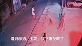 要是出门遭到群狗围攻怎么办小伙接下来的动作亮了
