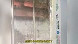 男子带侄子隔窗看马蜂窝,侄子一下拍碎窗户,马蜂直接飞进屋