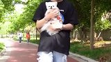 哈哈！发现发家致富的道路