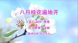 经典老歌扇子舞《八月桂花遍地开》动感轻盈，心醉优美