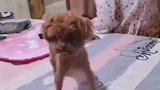 谁要是敢动妈妈那就是一个字，干