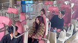 过山车管理员这番操作，他们瞬间没有笑容了