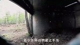村民放生上万只乌龟，第二天到河边一看，眼前景象让人不敢相信！