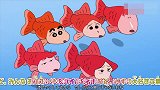 蜡笔小新：看到流鼻涕的金鱼，老爷爷不淡定了，阿呆：算你识货！