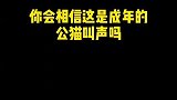 都快两岁的孩子了，叫声还是没变