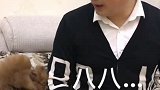 狗子坑爹之乘法口诀，差一点就去了！