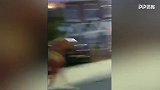 输球失心疯！朴茨茅斯球迷掌掴骑警胯下骏马 被一路狂追终被捕