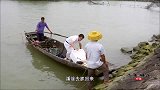老广的味道：还能研究出无毒的河豚的吗