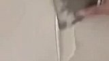 木工你已经得罪了，电工干脆你也得罪了吧