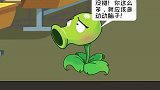 爷爷送给小坚果的核桃是这个意思吗
