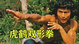 虎鹤双形拳，南拳讲究腰马合一！演示人戚冠军当时已近60岁！