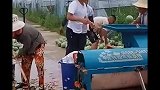 农民榨西瓜汁，原来这样榨的！