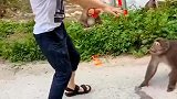 猴子：你干啥呢，是把我当猴耍么
