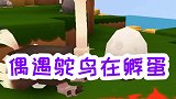 收集皮革，偶遇鸵鸟在孵蛋，沙虫又出现