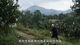 一场干旱，中国百年来最大的考古发现，秦兵马俑重现人世！