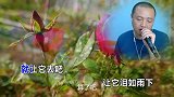 翻唱：伍佰经典老歌《算了吧》，很好听的一首歌曲