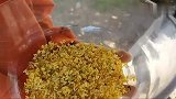 桂花遍地开的季节，做一个能保存香气的美食