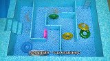 小仓鼠逃离了马桶宠物监狱，挑战泳池陷阱，它能成功逃脱吗