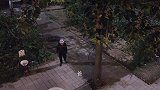 还是潘叔更厉害点，一下就把无赖赶出了自己家
