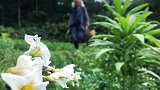 六旬老翁与世无争，竟用石头烤土豆，这画风真是别具一格