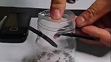 对待苍蝇蚊子就不能心慈手软