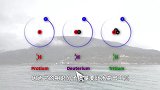 将重水的冰块放进水中，有趣的科学现象发生了，你知道原理吗