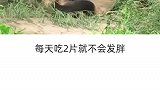 中国西瓜哪家强？