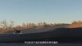 大火燃烧了40年，每年损耗五百亿，为何没有扑灭