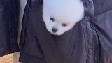 第二段来了