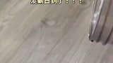 小狗的发薪日到了，为啥感觉小狗不是很开心呢