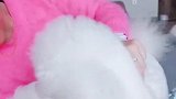身体倍好，吃嘛嘛香