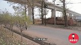 美女回家发现小偷在撬锁，灵机一动不慌不慌挣了小偷元，厉害
