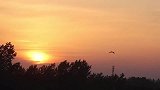 夕阳西下，倦鸟归巢