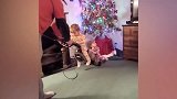 新式打台球，两位小宝宝之间的较量！哈哈哈！