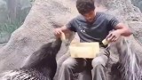 给豪猪喂食，太危险了！