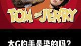 猫火是非多~孟加拉豹猫  萌宠出道计划