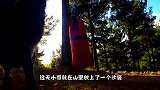山里的羊儿脾气真不小，看到个沙袋就顶了上去，这下事情大了