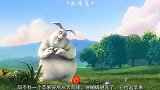 千万别欺负兔子，惹急了真会反抗的，一部搞笑动画短片